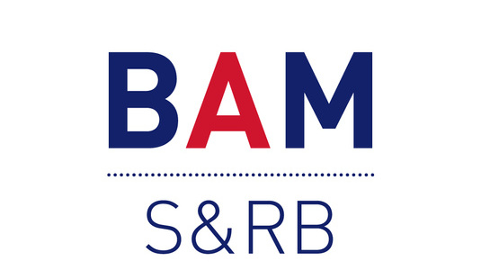 BAM_Social_ProfilePicture-S&RB.jpg