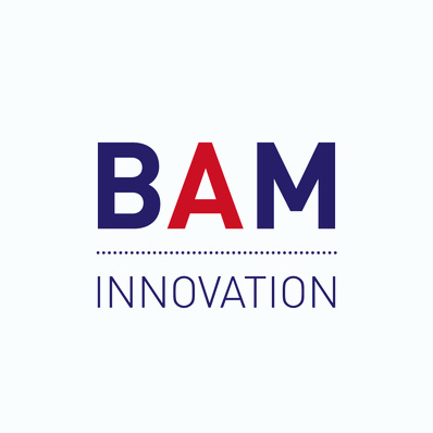 BAM Innovation Special Interest Group