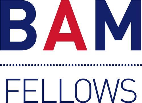 BAM_Fellows_outlined.jpg 1