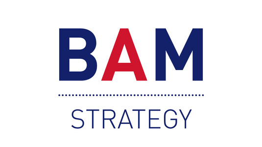 BAM_Social_ProfilePicture-STRATEGY.jpg 1