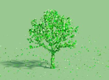 tree-5591478_1920_Image by 政徳 吉田 from Pixabay .jpg