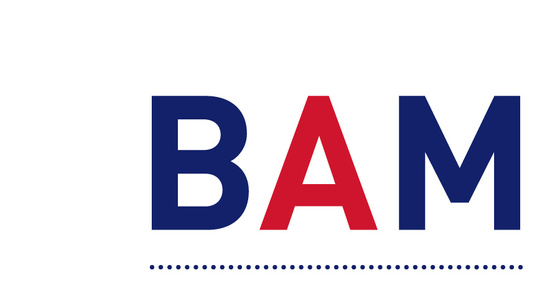 BAM_Social_ProfilePicture-STRATEGY.jpg