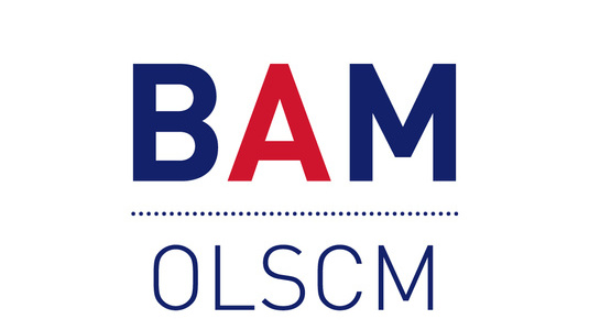 BAM_Social_ProfilePicture-OLSCM.jpg