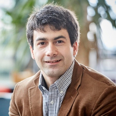 Prof Danat Valizade